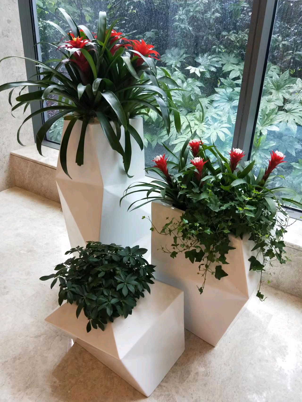 綠色生活，從專業租賃開始 一站式花卉綠植服務，打造詩意空間